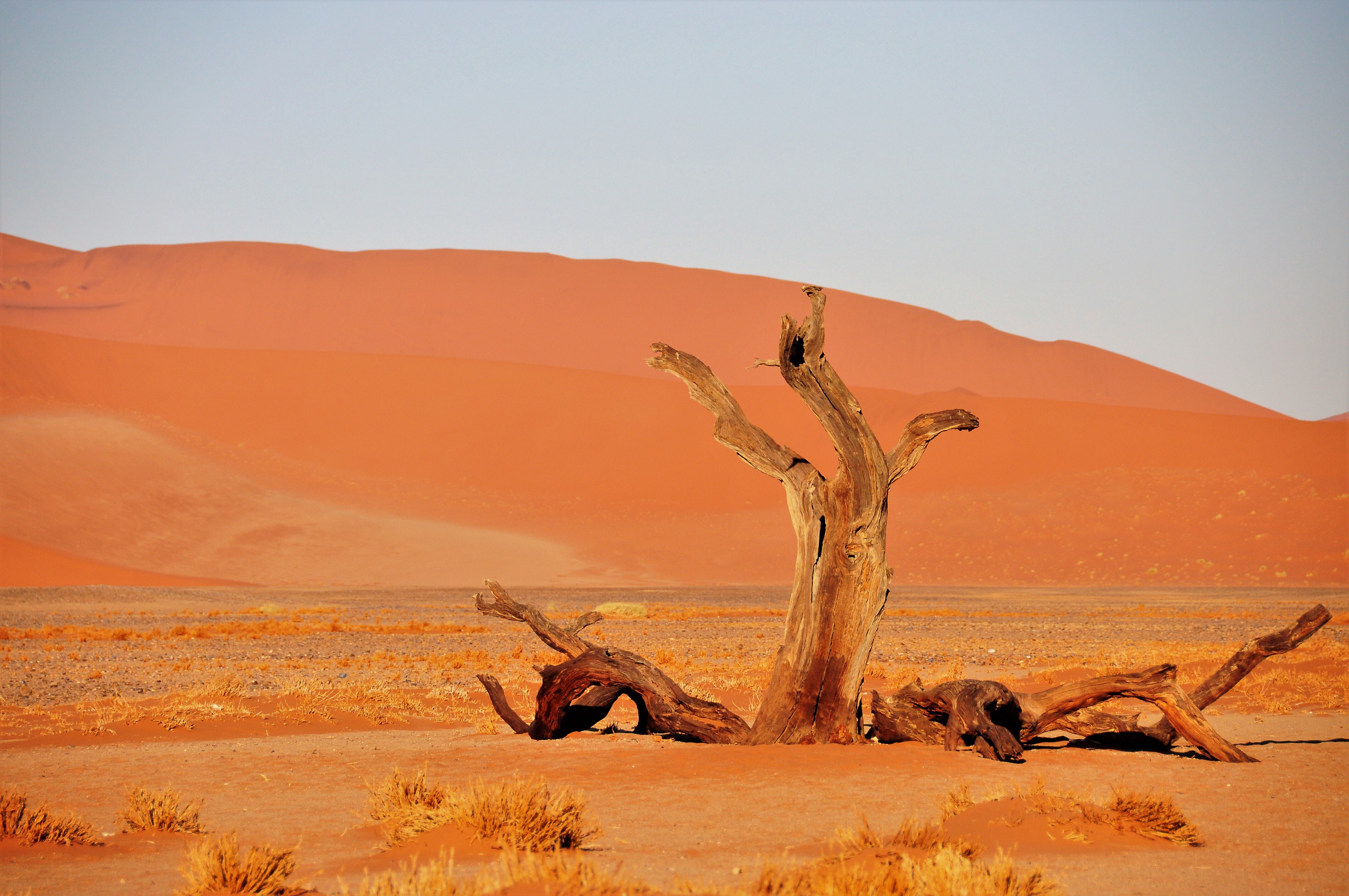 ETUF Vortag Werner Kettler : Das s&uuml;dliche Afrika.